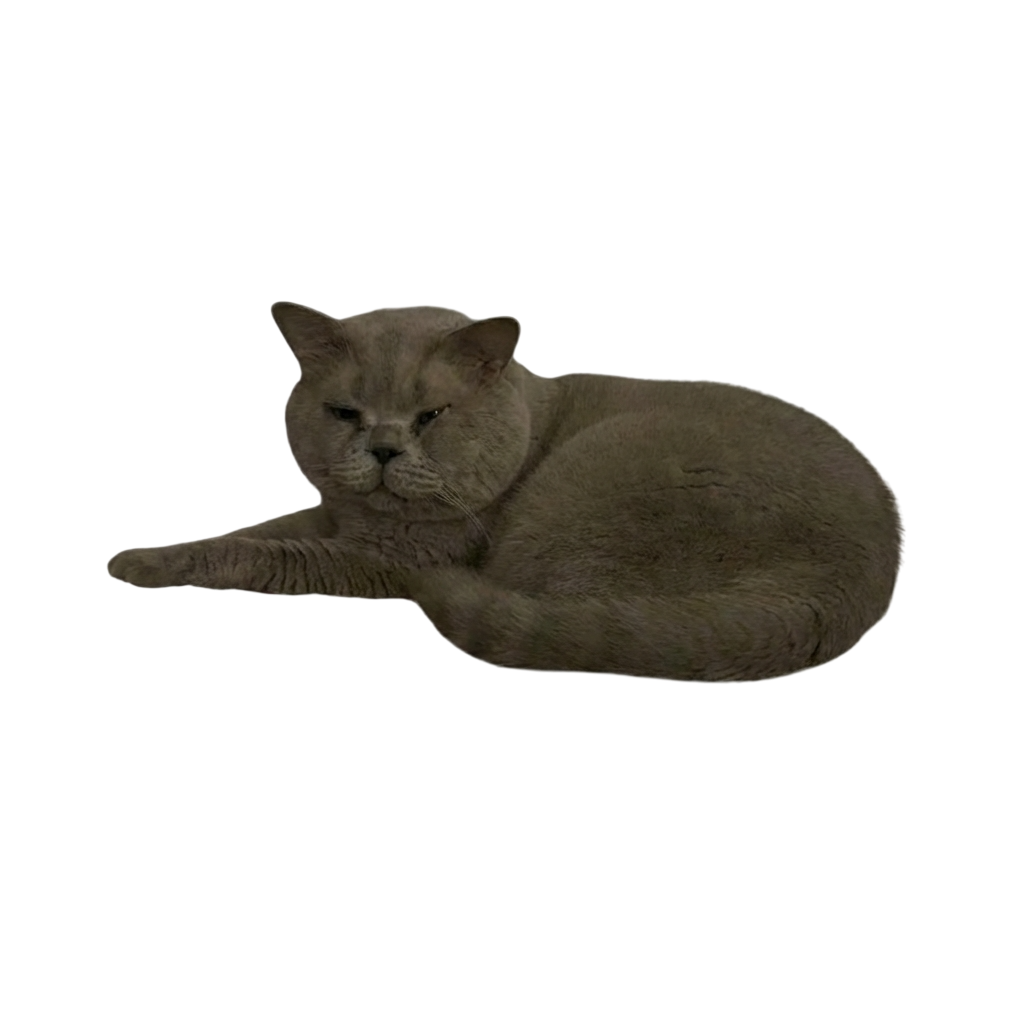 Сделано из фотографии